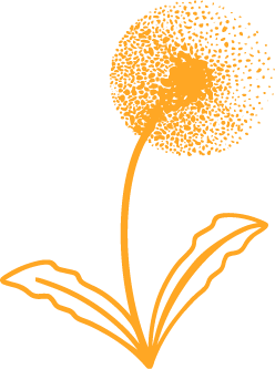 pusteblume